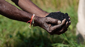 Bioforcetech Biochar